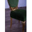 Luxor Upholstered Dining Chair-1761476802