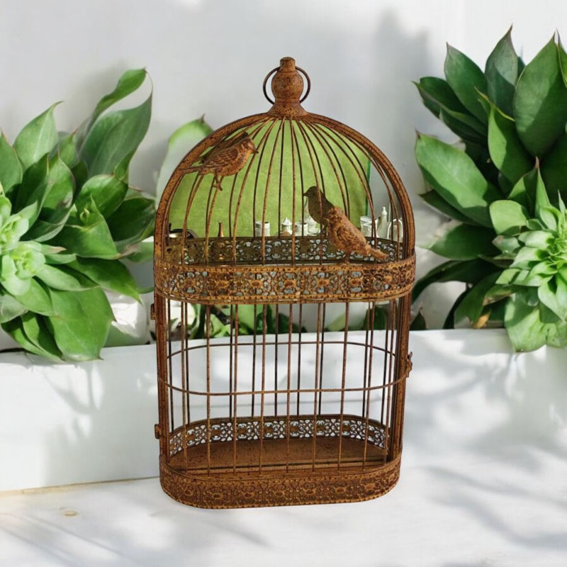 Rusty Garden Wall Mirror Bird Cage, Gold