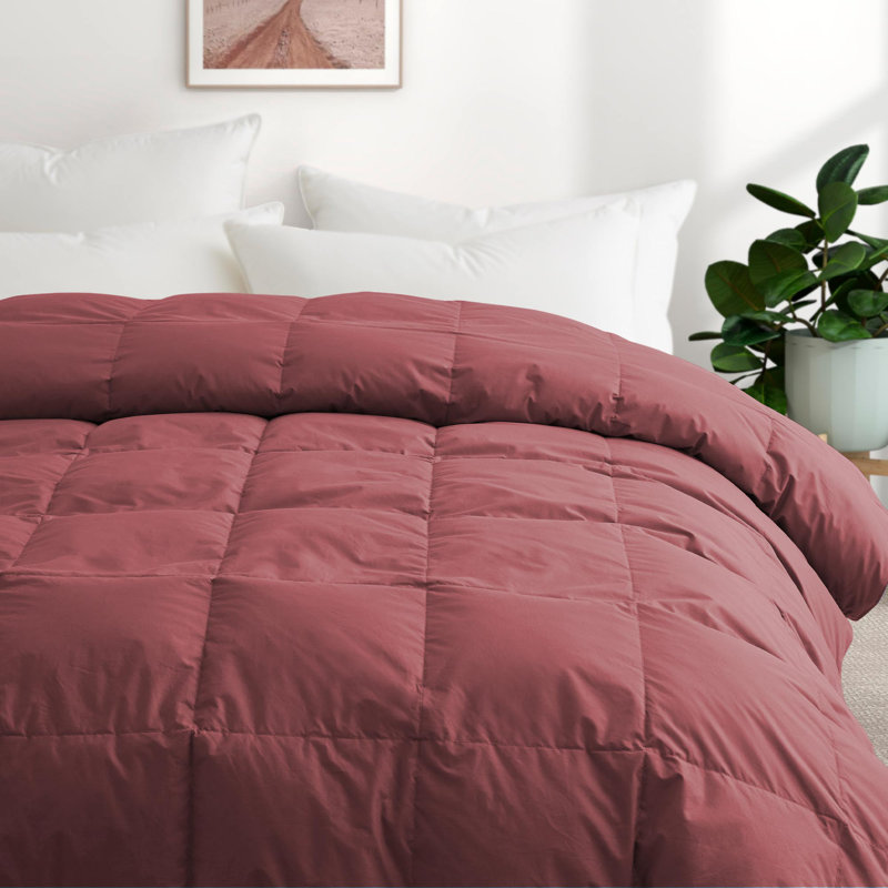 All Season Cotton Down Comforter/Duvet Insert, Twin Comforter, Red