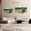 Taureau Brampt Hereford