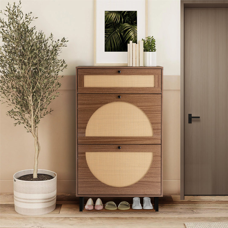 https://assets.wfcdn.com/im/75454197/resize-h755-w755%5Ecompr-r85/2551/255184755/Hamnah+12+Pair+Stackable+Shoe+Storage+Cabinet.jpg