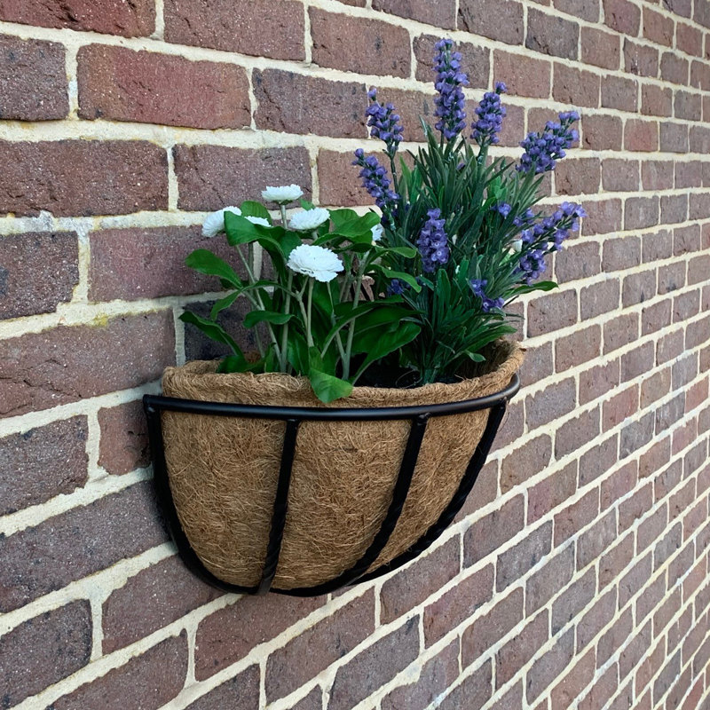 Alamia Metal Wall Planter