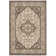 Allie Performance Oriental Rug