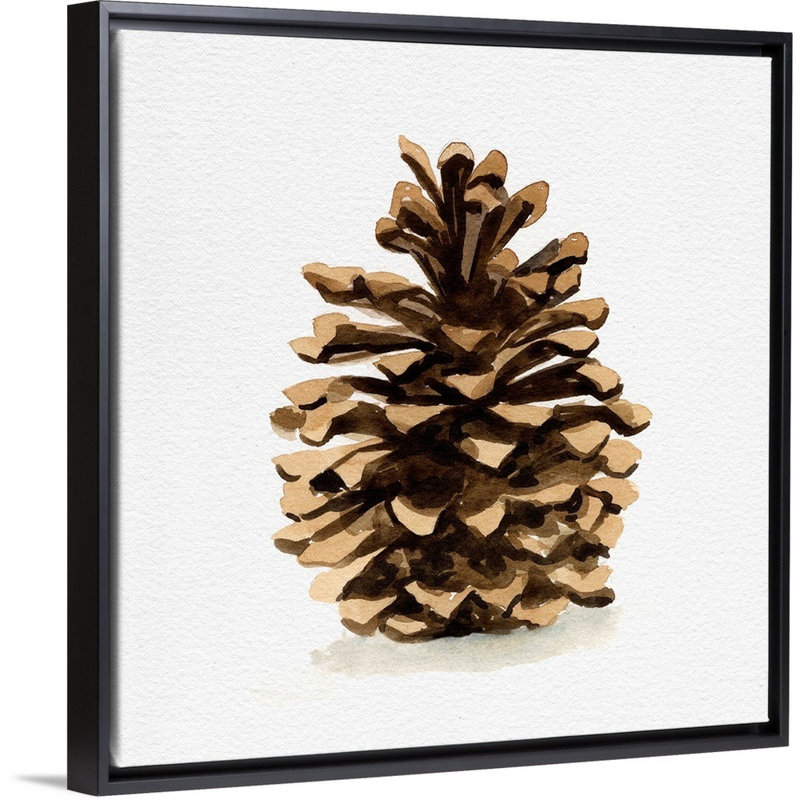 Reproduction d’art sur toile, "CONIFER Cone I" par Emma Caroline, H 18 po x l 18 po x P 1,75 po, Cadre noir