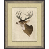 Deer Head 2 Print