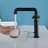 Widespread 2-handle Bathroom Faucet-69863699