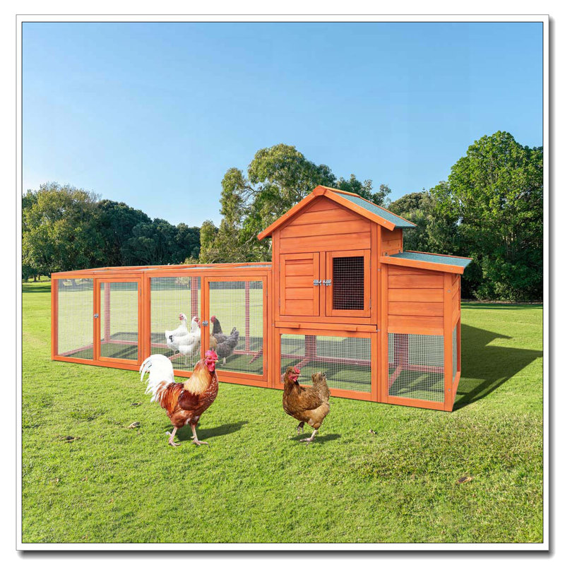 Grand poulailler en bois 122 ＂, poulailler d'extérieur avec nichoir, cage à volaille grillagée, Bois naturel