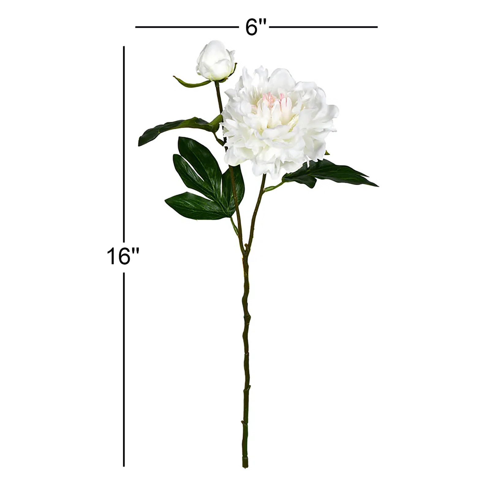 Peony Floral Stems, Pink Cream