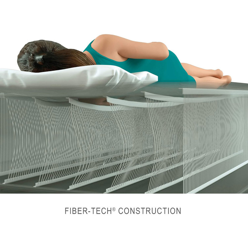 Intex TruAire Luxury Air Mattress w/ Fiber Tech & Built In Electric Pump, 2 Pack