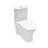 One Piece Ceramic Toilet For Bathroom, 12-Inch Rough-In, Dual Flush (1.22/1.6 GPF) With Soft-Closing Seat