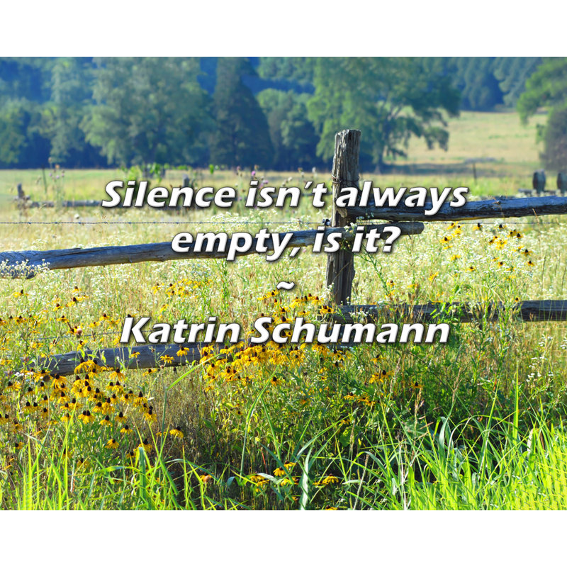 Katrin Schumann Citation: Le silence n'est pas toujours vide, n'est-ce pas?, H 20 po x l 24 po