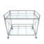 BAR Silver CART