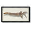 «Driftwood Study II», reproduction d'art sur toile simple-430898926