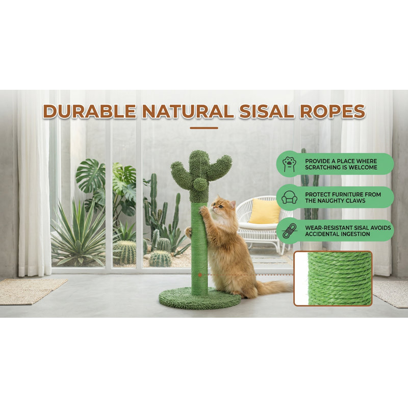 Grattoir pour chat 34 po Cactus