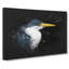 Pied Heron - Wrapped Canvas-56641618
