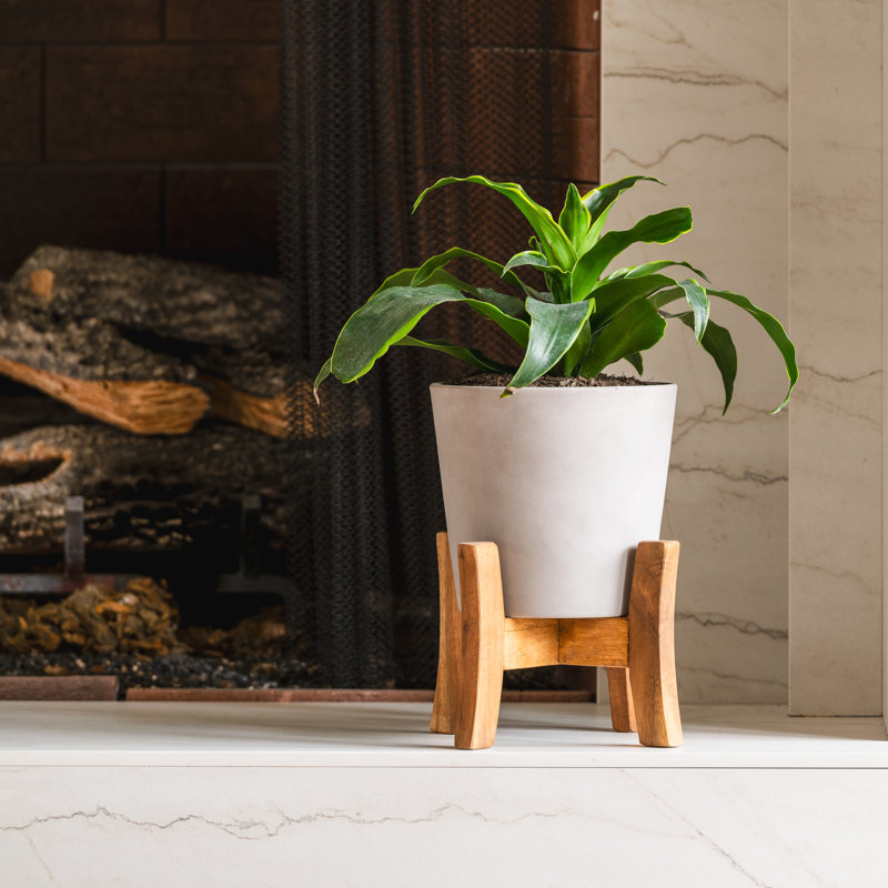 Jardinière contemporaine de 8 pouces avec support, Gris