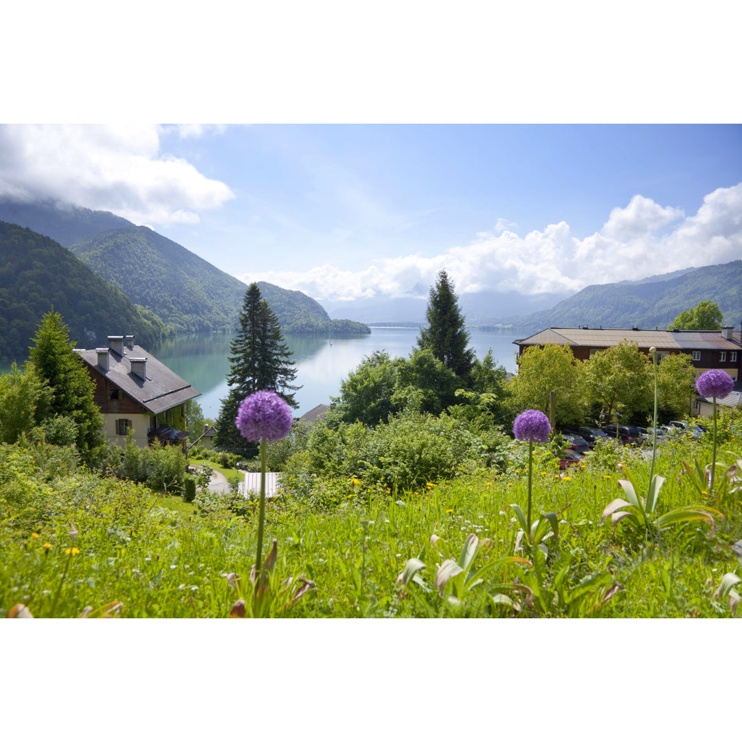 Leinwandbild Purple Flowers on a Field von Austria'S Wolfgangsee Lake von Maxima Studio