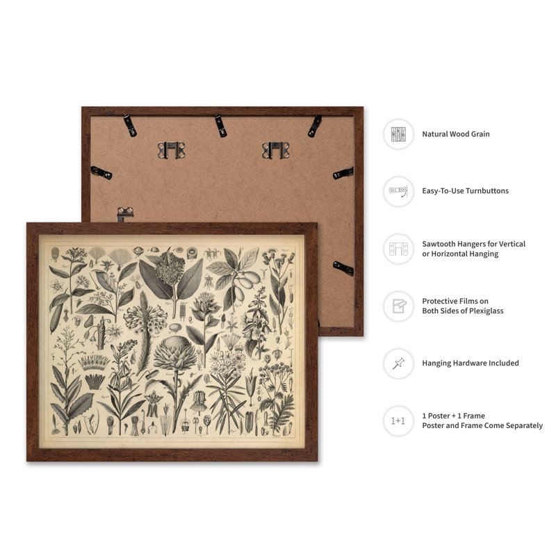 Sève et plantes résineuses, Poster, 12"H x 16"W, Brown Framed
