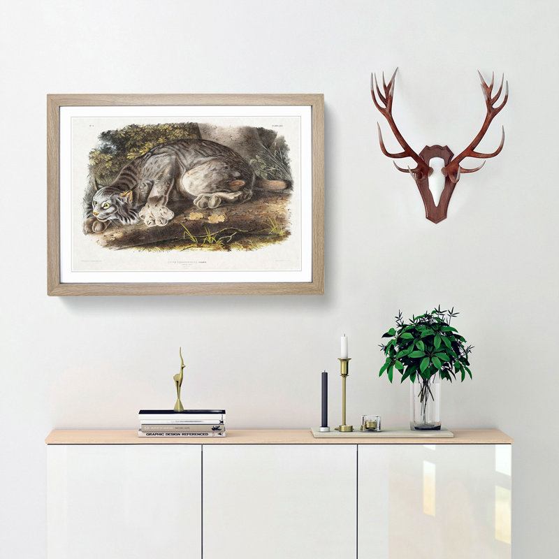 Canadian Lynx by J.W. Audubon - Picture Frame Painting Print, Oak Framed, 48cm H x 65cm W x 2cm D