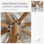 Market Umbrella - Poulie corde exquise 10 pi et plateau ventilé blanc-1862425552