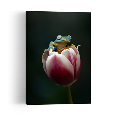 Curious Frog On Tulip Frog Tulip Flower Wall Art Print by Fauzan Maududdin - Print