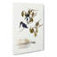 Little Kingfishers by Elizabeth Gould - Wrapped Canvas-55365093