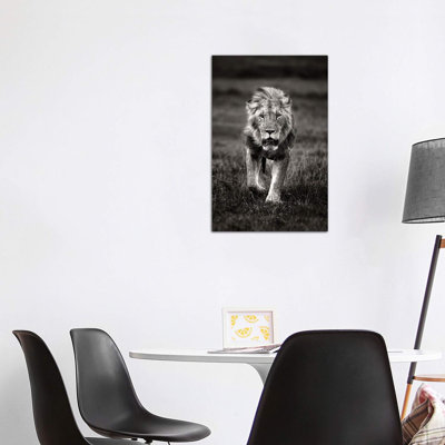 Lion Patrolling 1 Piece Wrapped Canvas Wall Art