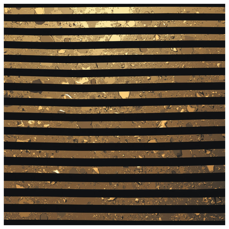 Coussins décoratifs à rayures dorées et noires, 20 x 20 pouces