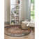 Alresford Oriental Indoor Rug