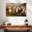 Brampton, lamas et alpagas-107851295