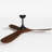 Bhradain 59.8'' Ceiling Fan with LED Lights