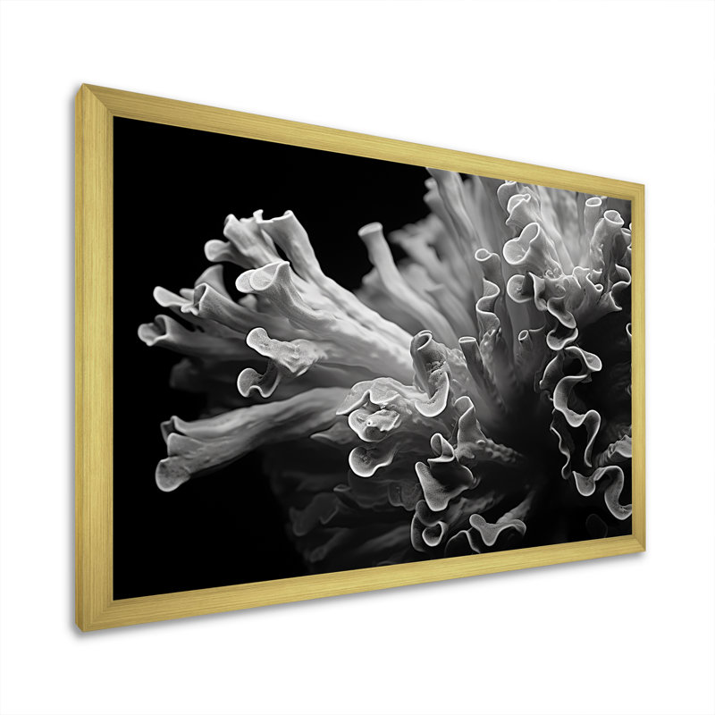 «Anemoner» en noir et blanc, photo III sur toile, H 16 po x l 32 po x P 1 po, Encadrement doré