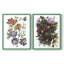 «Garden Bouquets I», reproduction encadrée de qualité supérieure - prête à être accrochée - aucun clou requis - aucun clou requis-1957383520-1957383523
