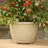 Weather Resistant Saucer Plant Stand