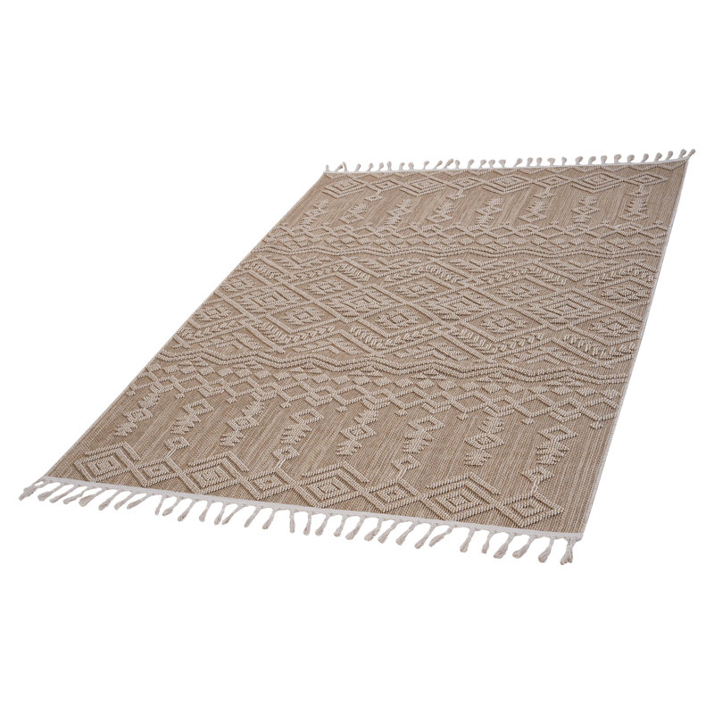 4X6 Area Rug Traditional Indoor-Outdoor, Rectangle 4' x 6'2"