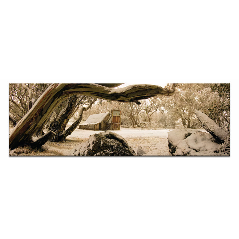 Andrew Brown - Print on Canvas