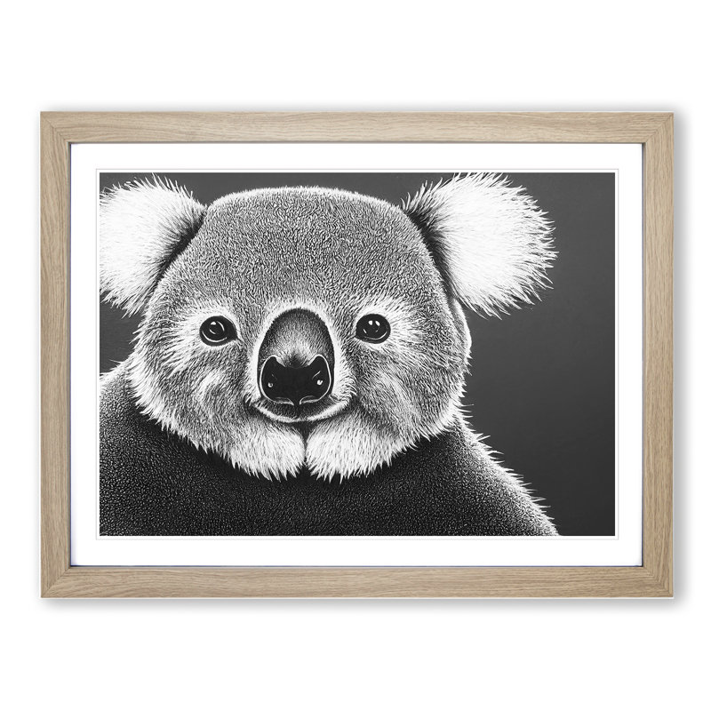 Koala Bear - Framed Print, 25cm H x 34cm W, Oak Framed