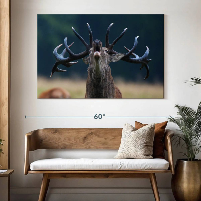 Bruit de cerf Brampt, H 34 po x l 51 po