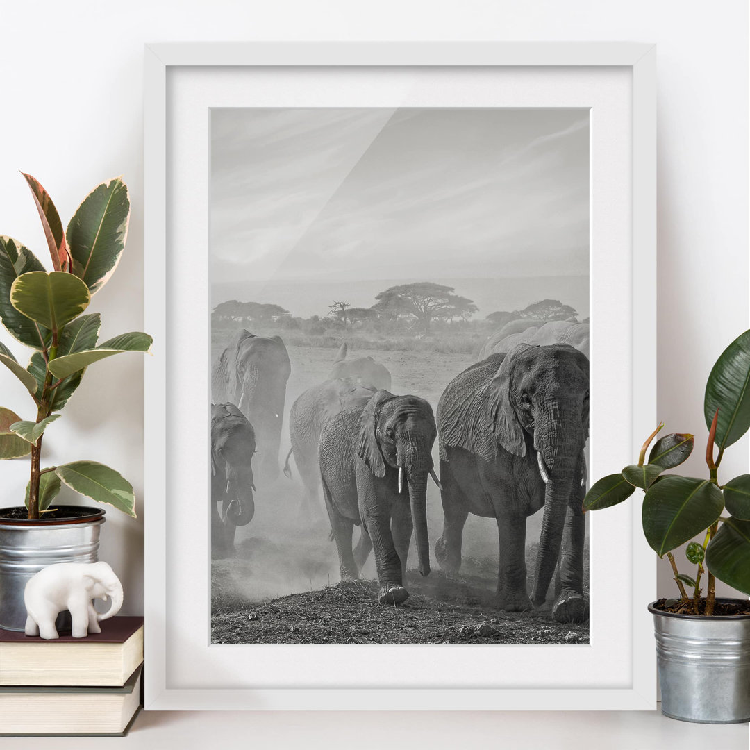 Gerahmter Fotodruck Herd of Elephants