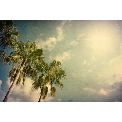 Palm trees