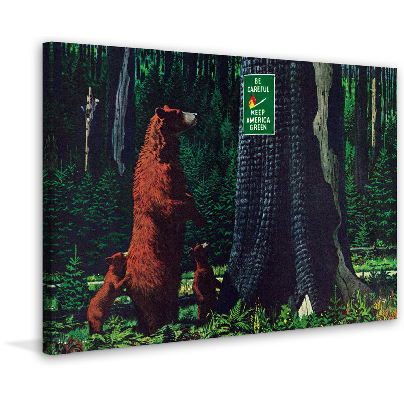Wrapped Canvas Print, 41cm H x 61cm W x 3.81cm D