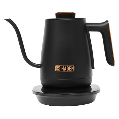 Haden Electric Tea Kettle, Gooseneck Hot Water Boiler, 0.6L Teapot