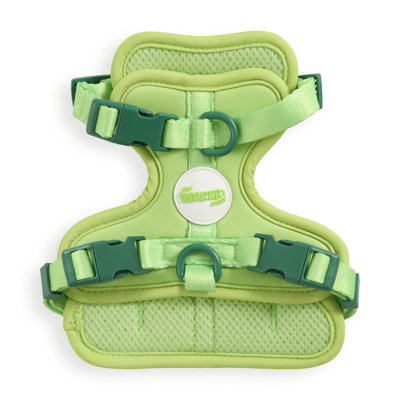 Harnais pour animal de compagnie Arlo