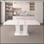 Table de salle à manger extensible pour 6-10, table de cuisine extensible en faux marbre blanc moderne avec base à double colonne, grand rectangle-96621336-96621340
