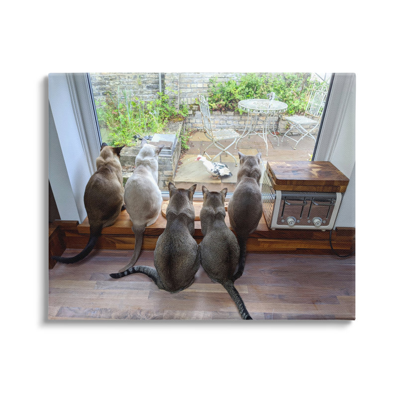 Art mural sur toile "Chats regardant un oiseau à la fenêtre" par Beth Noble, H 30 po x l 40 po x P 1,5 po