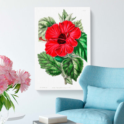 Chinese Rose - Wrapped Canvas Painting