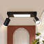 Shinako Spotlight-741480281