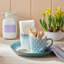Denby Azure Haze Medium Coupe Plates