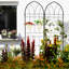 Rustproof Metal Garden Trellis 78.7" X 19.7", 4 Pack For , - Black 4 Outdoor 78.7"X19.7", Grape Vine Holder, Flower