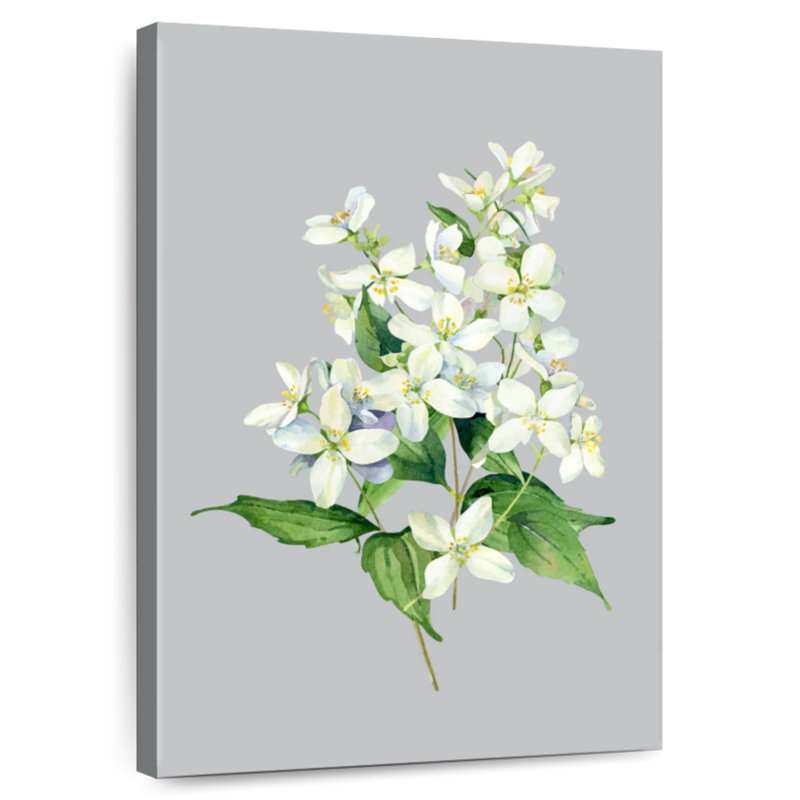 Fleurs de jasmin Harnek, H 39 po x l 26 po
